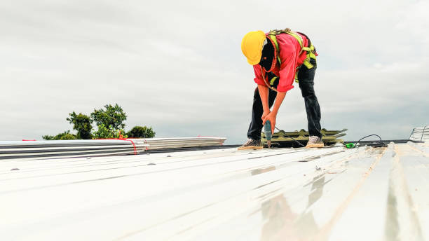 Best Skylights  in Youngsville, PA
